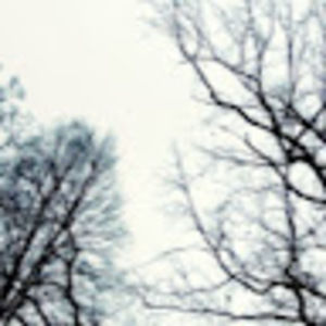 Meet your Posher, Sona